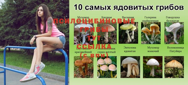 ешки Алексеевка
