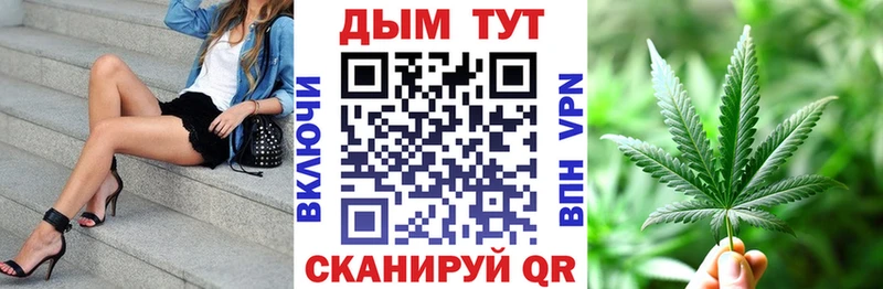 Конопля сатива  Болхов 